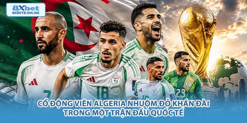 Cổ động viên Algeria nhuộm đỏ khán đài trong một trận đấu quốc tế.