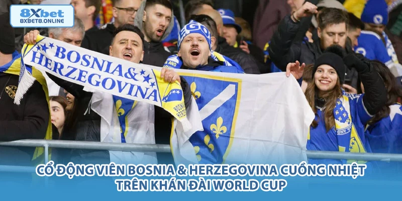 Cổ động viên Bosnia & Herzegovina cuồng nhiệt trên khán đài World Cup.